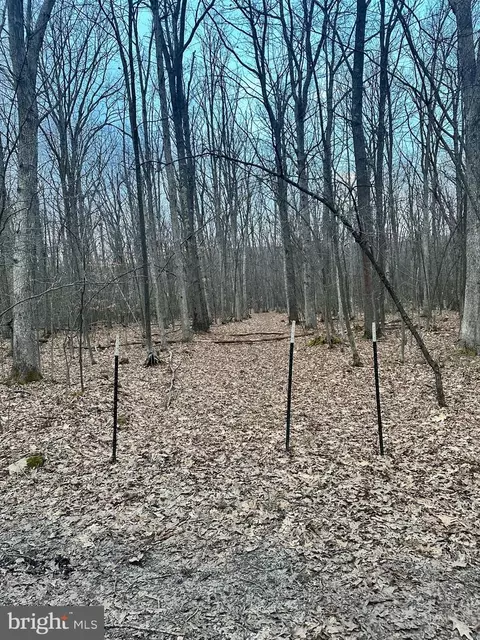 harvey peninsula road LOT 8, Swanton, MD 21561