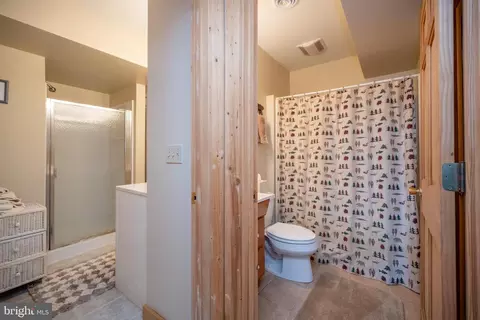 Bath - 2316 Marsh Hill Rd, Mc Henry, MD 21541 photo 6 of 9
