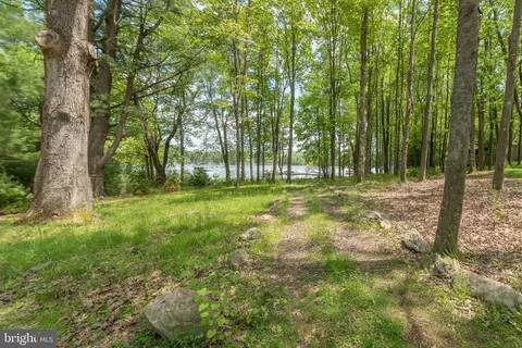 Exterior - 758 Crows Point Rd, Swanton, MD 21561 photo 19 of 19