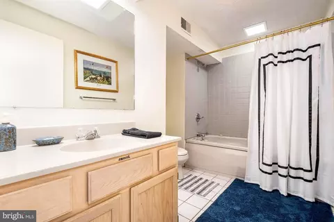Bath - 1333 Deep Creek Dr #4, Mc Henry, MD 21541 photo 5 of 5