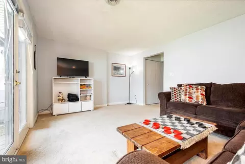 Living - 1333 Deep Creek Dr #4, Mc Henry, MD 21541 photo 9 of 9