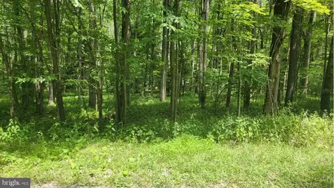 Wild Turkey Lane, Oakland, MD 21550