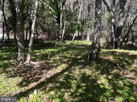 Hammond Street, Oakland, MD 21550