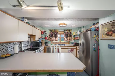 264 Marsh Hill Rd, Mc Henry, MD 21541 photo 19
