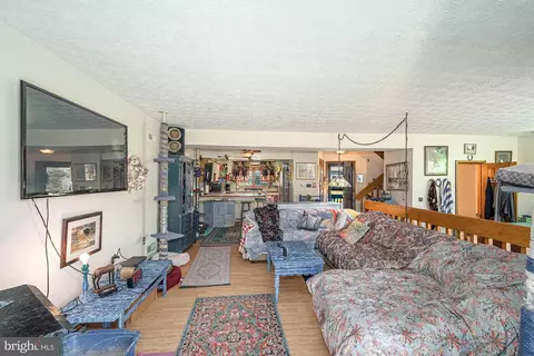 264 Marsh Hill Rd, Mc Henry, MD 21541 photo 26