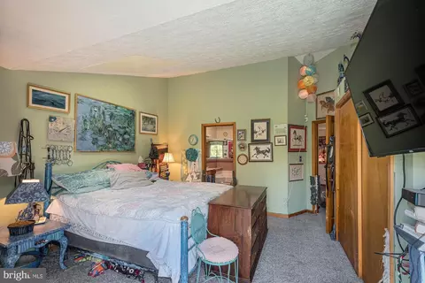 264 Marsh Hill Rd, Mc Henry, MD 21541 photo 43