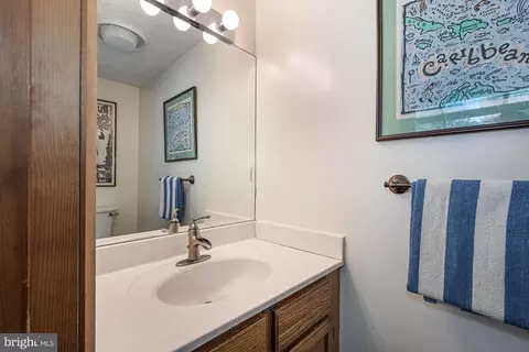 264 Marsh Hill Rd, Mc Henry, MD 21541 photo 21