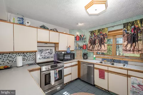 264 Marsh Hill Rd, Mc Henry, MD 21541 photo 17
