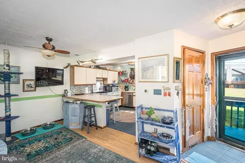 264 Marsh Hill Rd, Mc Henry, MD 21541 photo 20