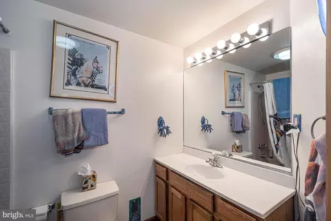 264 Marsh Hill Rd, Mc Henry, MD 21541 photo 37