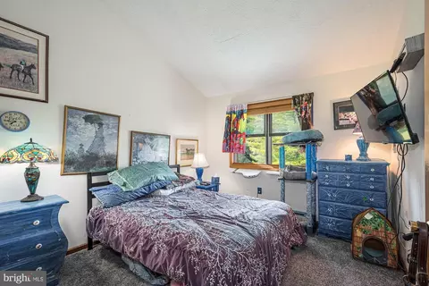 264 Marsh Hill Rd, Mc Henry, MD 21541 photo 35