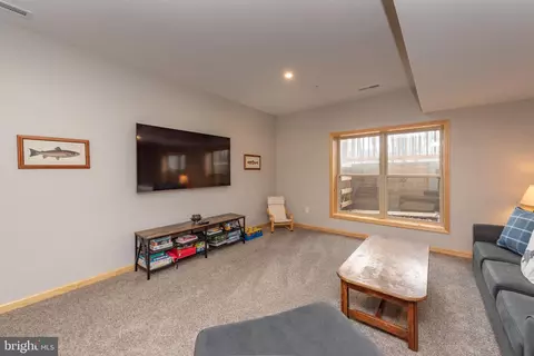 Other - 367 Fern Loop Dr, Mc Henry, MD 21541 photo 11 of 13