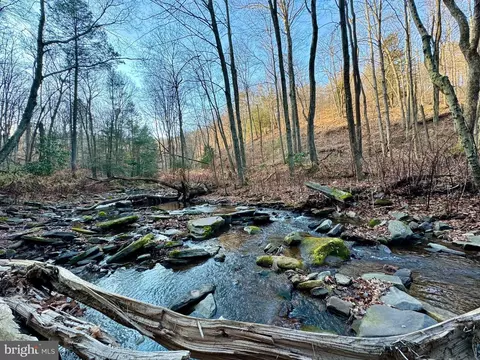 Spring Lick Road, Swanton, MD 21561