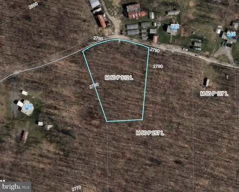 1 48 Acres Limousin Ridge Rd, Mc Henry, MD 21541