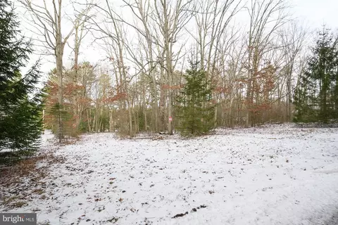 907 Hazelhurst Rd, Swanton, MD 21561 photo 11