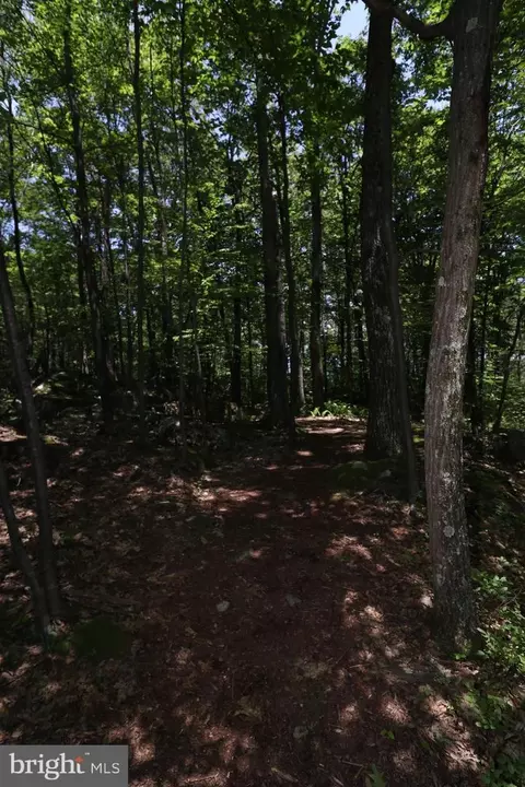 Other - 415 Mountaintop Rd, Mc Henry, MD 21541 photo 31 of 42