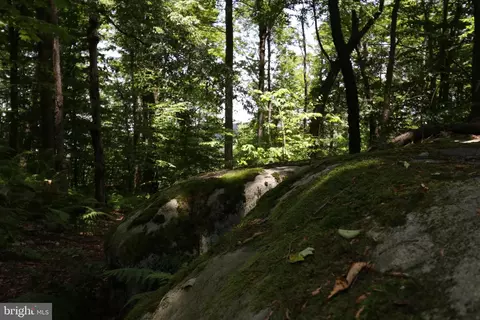 Other - 415 Mountaintop Rd, Mc Henry, MD 21541 photo 35 of 42