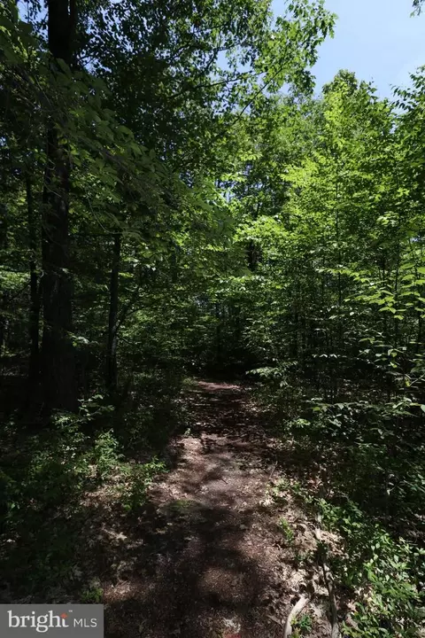 Other - 415 Mountaintop Rd, Mc Henry, MD 21541 photo 30 of 42