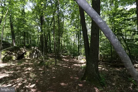 Other - 415 Mountaintop Rd, Mc Henry, MD 21541 photo 32 of 42