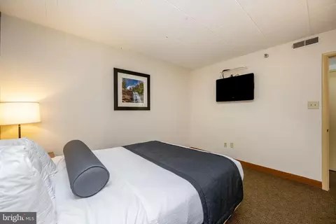 290 Marsh Hill Rd #402K, Mc Henry, MD 21541 photo 20