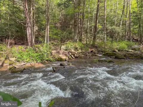 Spring Lick Road, Swanton, MD 21561