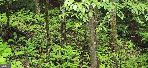 yough view drive, Oakland, MD 21550