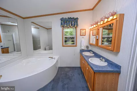 Bath - 332 High Point Dr, Swanton, MD 21561 photo 2 of 3