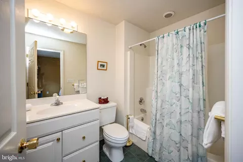Bath - 257 Marsh Hill Rd #37, Mc Henry, MD 21541 photo 3 of 6