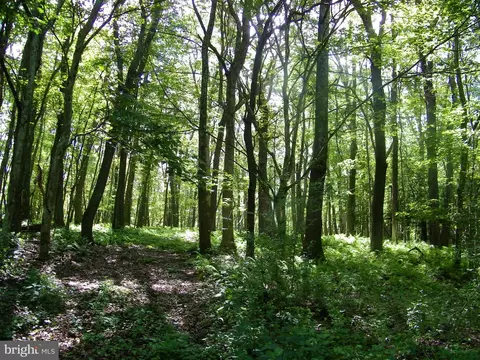 Longview Lane, Oakland, MD 21550