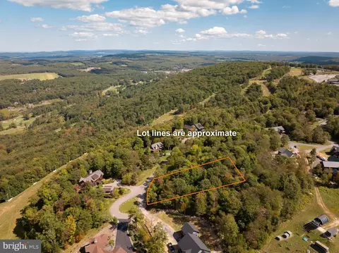 lot84 Lower Camp Rd, Mc Henry, MD 21541