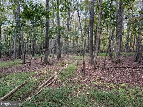 0 Lake Shore Dr, Oakland, MD 21550