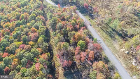 157 Fork Run Trl, Mc Henry, MD 21541 photo 15