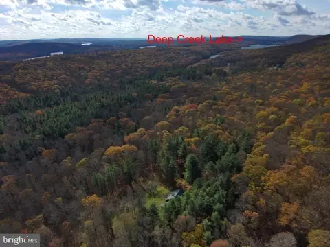 Other - 725 Candle Tree Ln, Swanton, MD 21561 photo 20 of 20