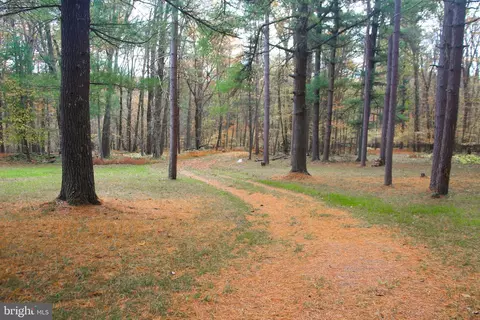 Other - 725 Candle Tree Ln, Swanton, MD 21561 photo 8 of 20