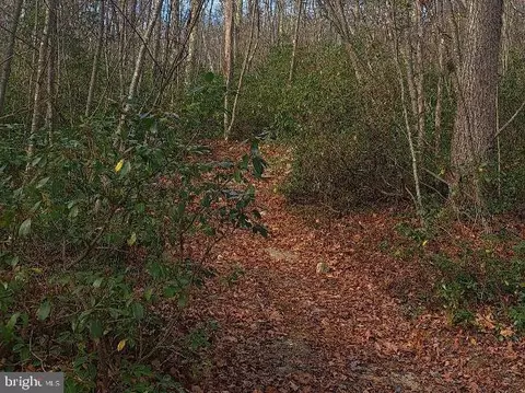 Fox Tail Road, Oakland, MD 21550