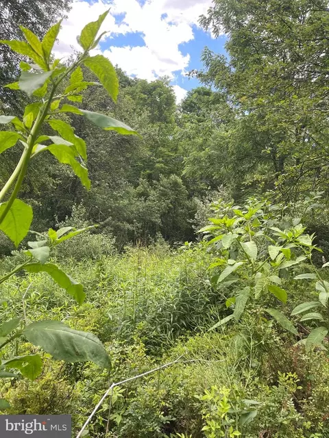Wes Mountain Trail, Mc Henry, MD 21541