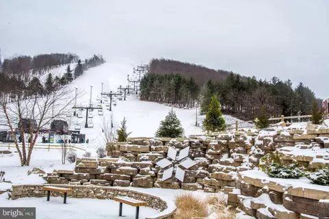 290 Marsh Hill Rd #768F, Mc Henry, MD 21541