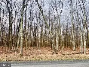 tbd 1575 Acres Bethlehem Rd, Oakland, MD 21550
