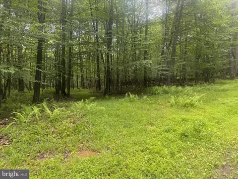 lot18 Buck Dr, Oakland, MD 21550