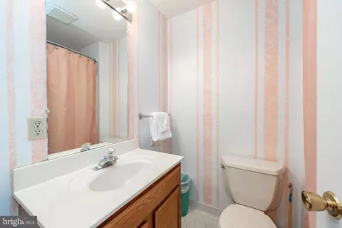 Bath - 105 Monastery Way, Swanton, MD 21561 photo 5 of 13