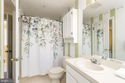 Bath - 105 Monastery Way, Swanton, MD 21561 photo 7 of 13