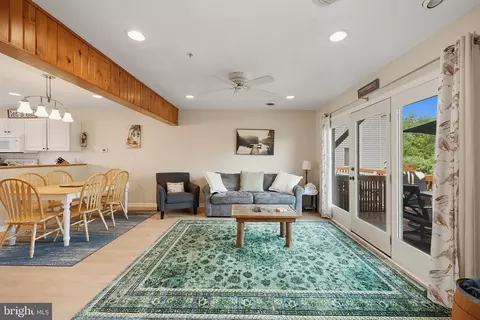 Living - 257 Marsh Hill Rd #11, Mc Henry, MD 21541 photo 4 of 4