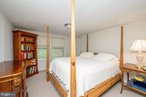 Bedroom - 249 Hazelhurst Rd, Swanton, MD 21561 photo 7 of 12