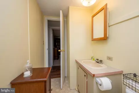 Bath - 249 Hazelhurst Rd, Swanton, MD 21561 photo 3 of 3