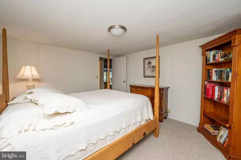 Bedroom - 249 Hazelhurst Rd, Swanton, MD 21561 photo 12 of 12