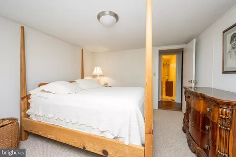 Bedroom - 249 Hazelhurst Rd, Swanton, MD 21561 photo 10 of 12