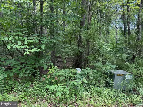 Apex Court, Swanton, MD 21561