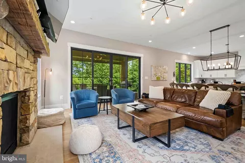 Living - 138 Ridge Run Rd, Mc Henry, MD 21541 photo 4 of 6