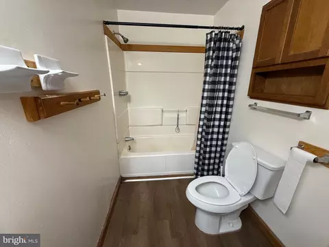 Bath - 337 Brant Rd, Swanton, MD 21561 photo 1 of 1