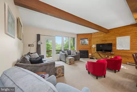 Living - 19 Slopeside Ter #10E, Mchenry, MD 21541 photo 6 of 9